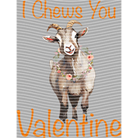 Valentine's Day-QRJ  4167